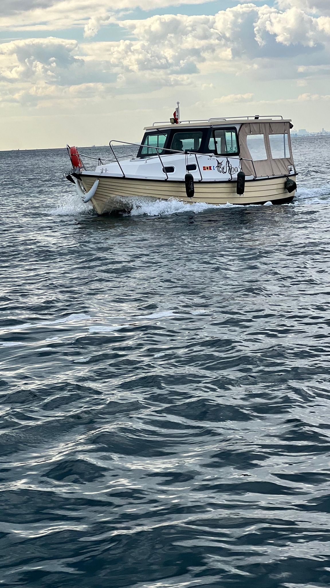 2020 Model Neta Fisher 6.60 